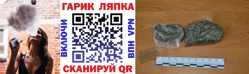 ГАШ Premium Ельня