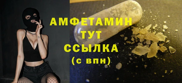 ешки Горняк