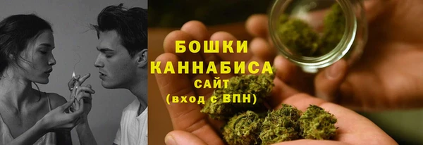 Альфа ПВП Горно-Алтайск