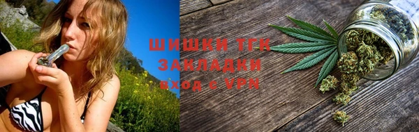 ешки Горняк