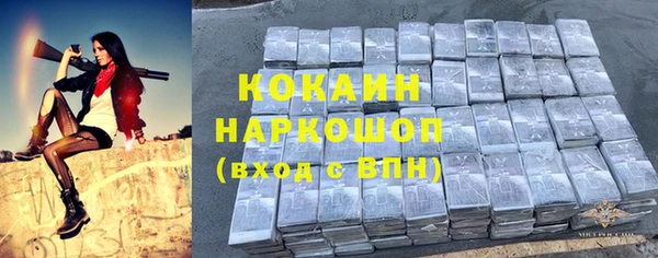 ешки Горняк