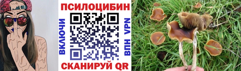 Галлюциногенные грибы Magic Shrooms  где купить наркоту  Ельня 